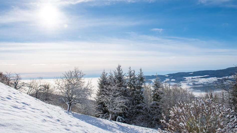 NuP Pöllauer Tal_Winterimpression_Oststeiermark