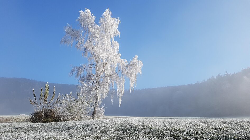 NUP Pöllauer Tal_Winter_Blick ins Pöllauer Tal | © Tourismusverband Oststeiermark