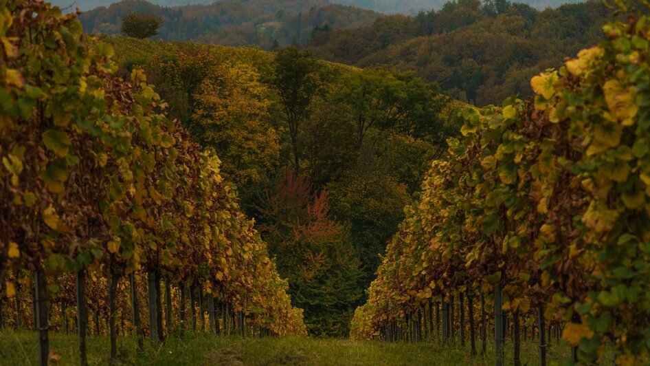 Herbst im Naturpark Südsteiermark | © RM SW GmbH | tinefotocom