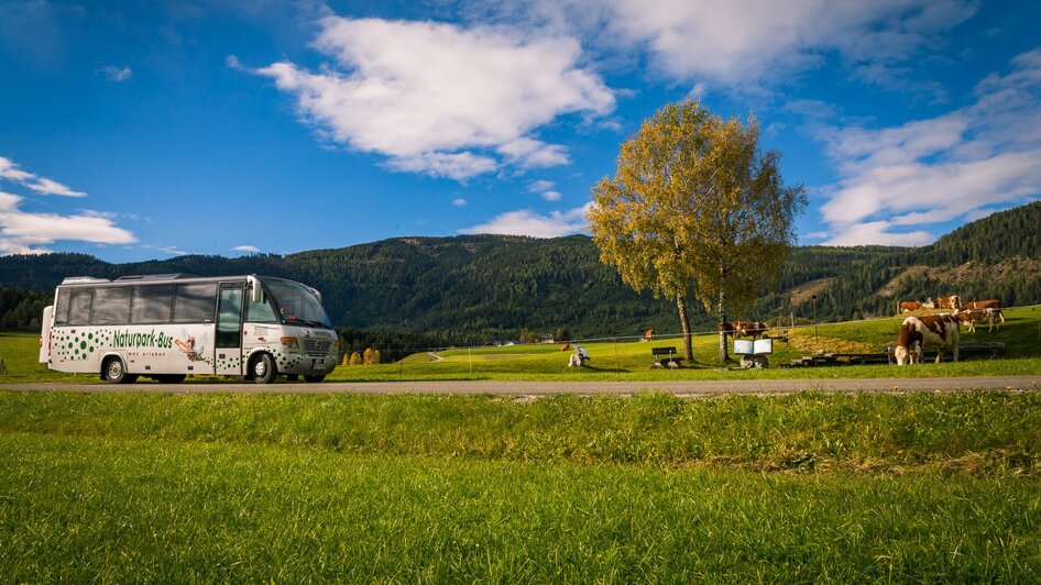 Auch für Ausflugsfahrten | © Tourismusverband Murau