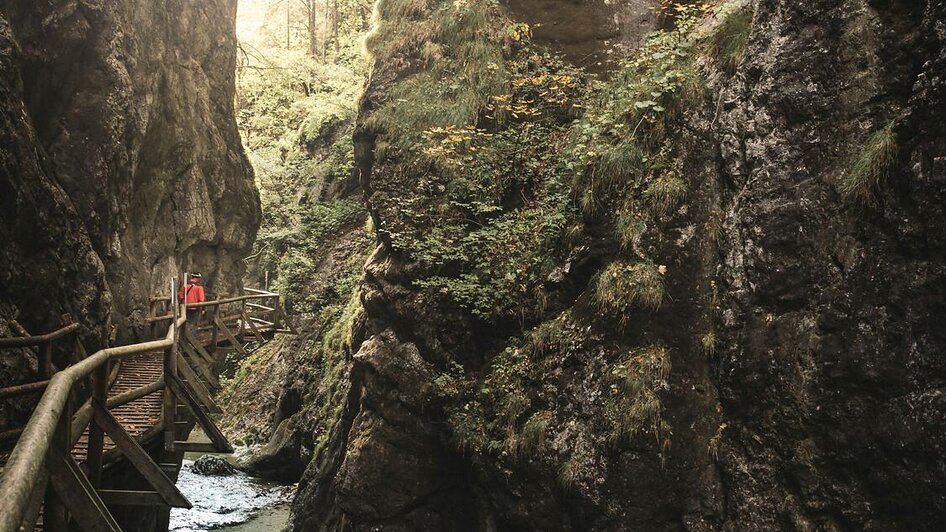 Durch die wilde Klamm im Natur- & Geopark