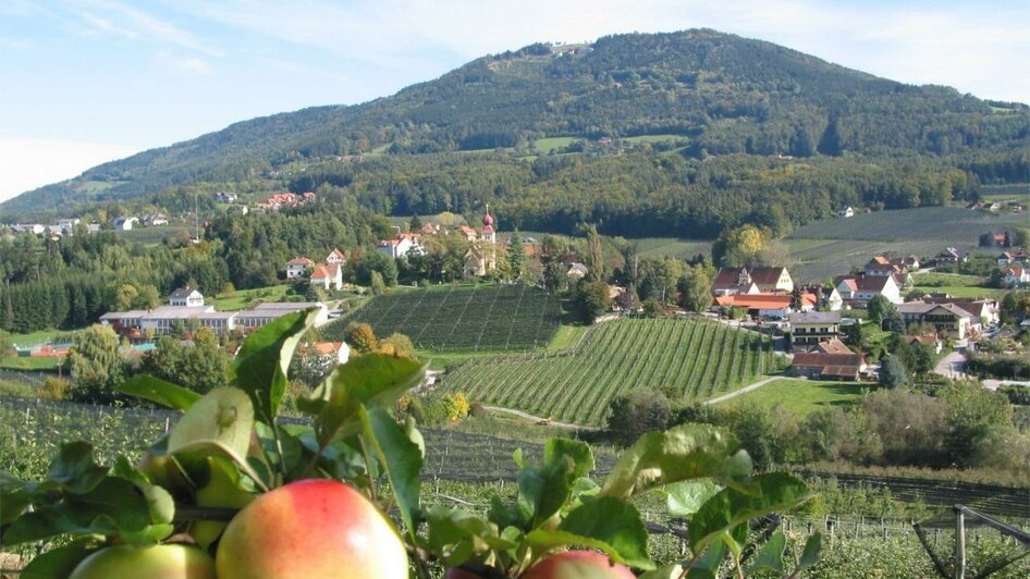 Obstbau Berger_Apfelstraße_Oststeiermark | © Tourismusverband Oststeiermark