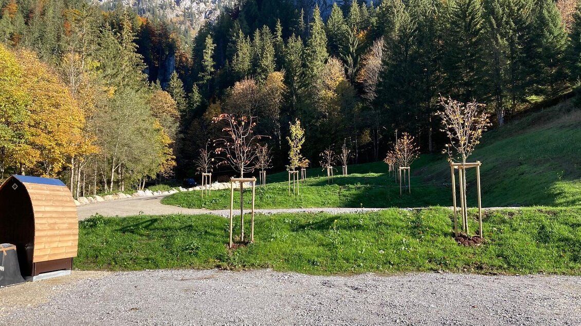 Eine malerische Landschaft mit Bäumen und sanften Hügeln. Im Hintergrund erheben sich beeindruckende Berge unter einem klaren blauen Himmel.