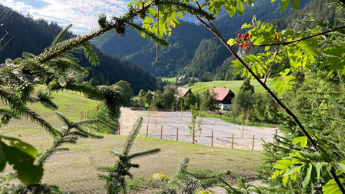 Eine malerische Landschaft mit grünen Hügeln und Bergen im Hintergrund. Im Vordergrund sind Bäume und ein kleines Haus zu sehen.