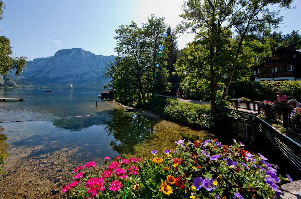 Pferdehof Dachsteinblick - Impression #1 | © TVB Ausseerland - Salzkammergut-Tom Lamm