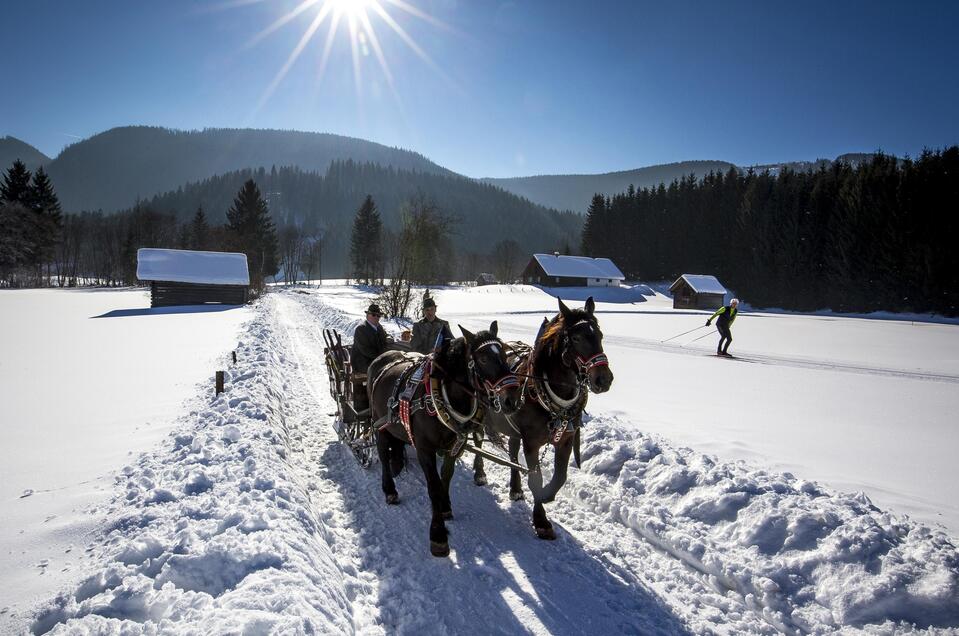 Horse farm Dachsteinblick - Impression #1 | © TVB Ausseerland Salzkammergut/Tom Lamm