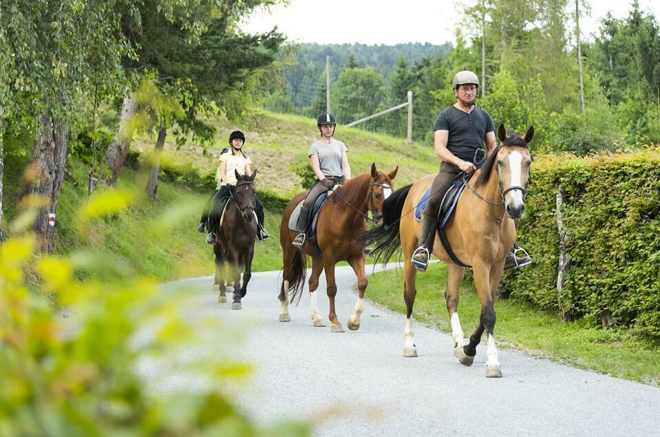 Riding in the Nature Park Pöllau Valley - Impression #1 | © Pferdeland Pöllauer Tal