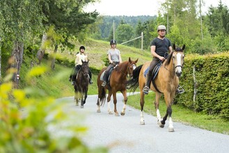 Pferdeland Pöllauer Tal_Reiter_Oststeiermark | © Pferdeland Pöllauer Tal