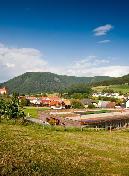 Pflegewohnheim St. Lambrecht | Tom Lamm | © Holzwelt Murau