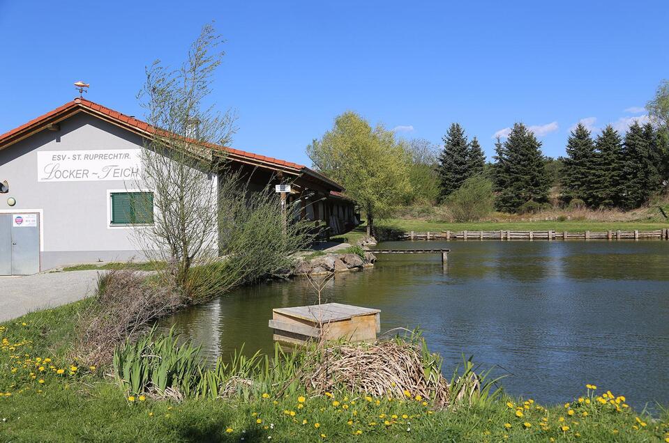 Picknicken am Locker Teich in St. Ruprecht an der Raab - Impression #1