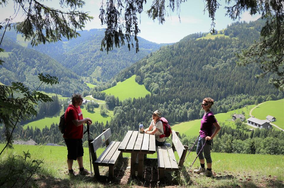 Picnic at the Stoakogler Path - Impression #1 | © Tourismusverband Oststeiermark