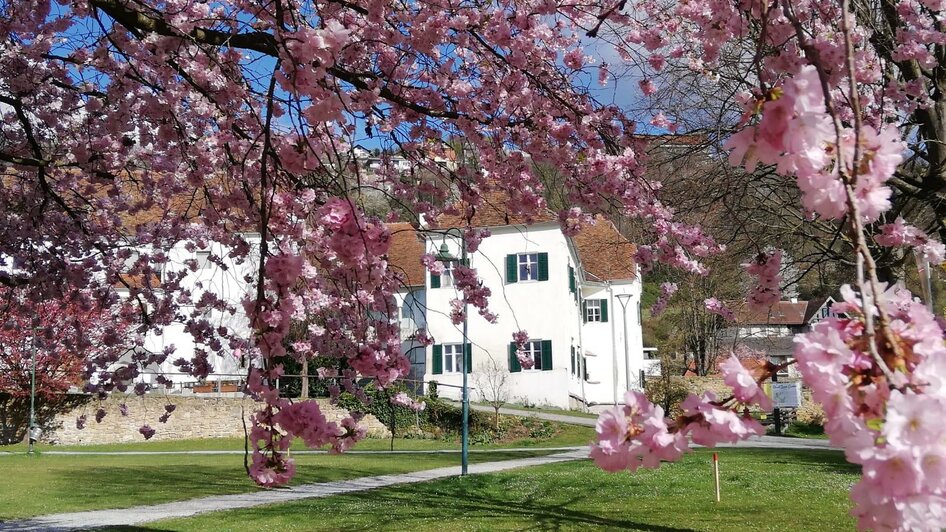 Picknickplatz_Frühling_Oststeiermark | © Tourismusverband Oststeiermark