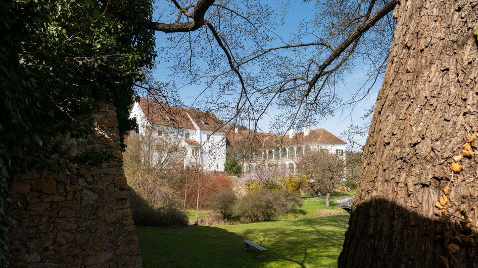 Picknickplatz_Bäume_Oststeiermark | © Tourismusverband Oststeiermark