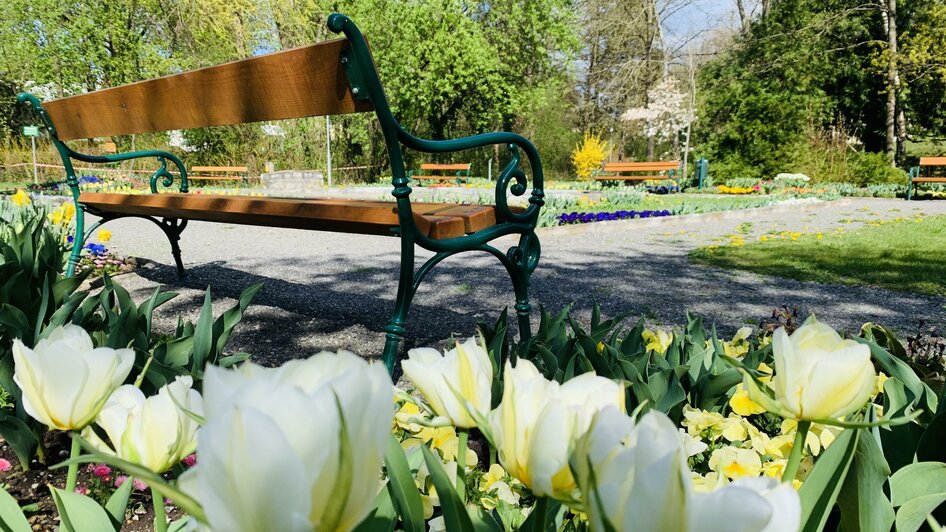 Stadtpark_Tulpen_Oststeiermark | © Stadtgemeinde Gleisdorf_Tourismusverband Oststeiermark