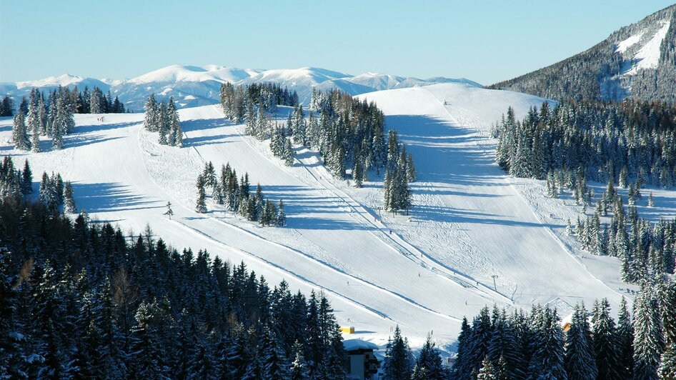 Pirstingerkogellift_Panorama_Oststeiermark | © Naturpark Almenland