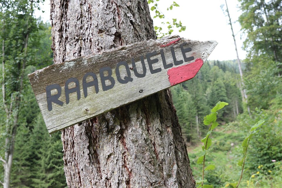 Raabursprung-Runde - Impression #1 | © WEGES