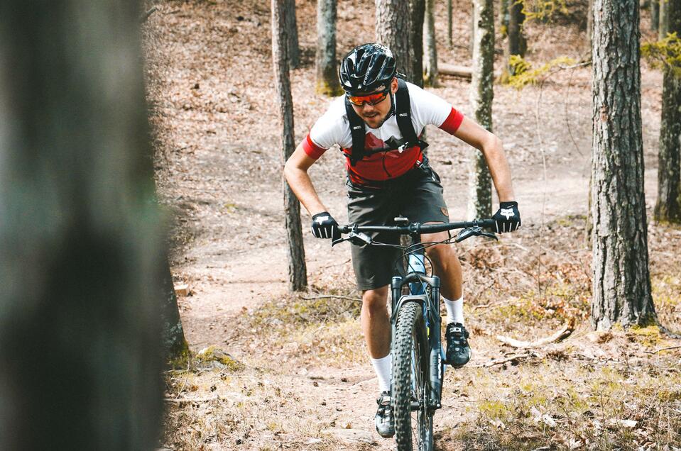 Bike-Guide Sandro Nisteberger - Impression #1 | © Tourismusverband Oststeiermark