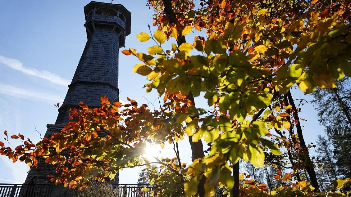 Ein Aussichtsturm umgeben von bunten Herbstblättern. Die Sonne scheint durch die Blätter, was eine warme Atmosphäre schafft. | © Oststeiermark Tourismus