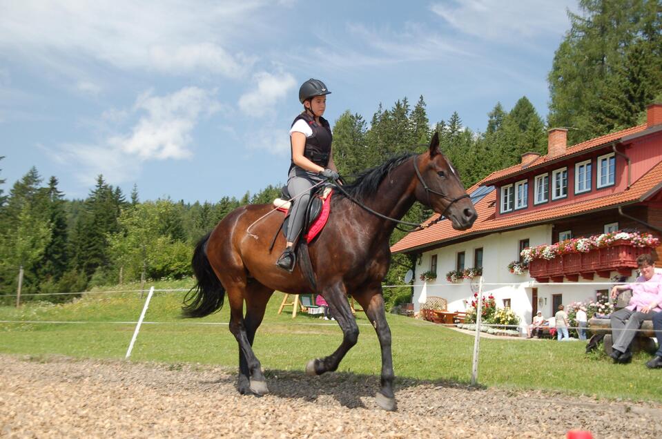 Riding farm at the Steinerhof - Impression #1 | © Reitbauernhof am Steinerhof