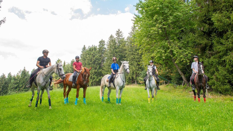 Reiten Hotel Muhr_Reiter auf Wiese_Oststeiermark | © Hotel Muhr