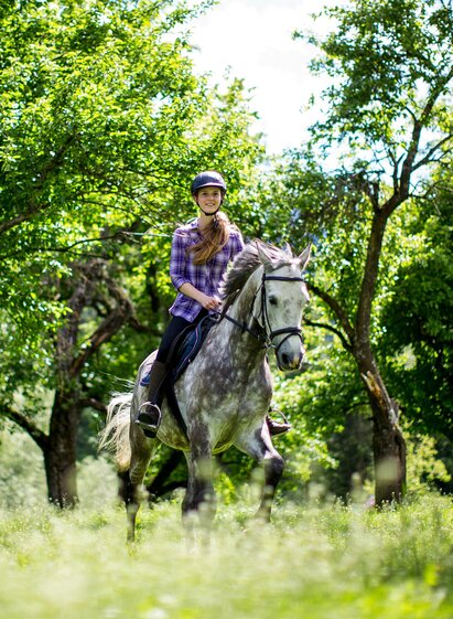 Reiten | Tom Lamm | © Tourismusverband Murau