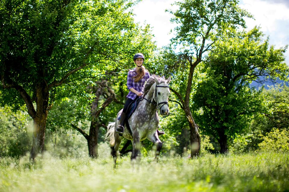 Riding at the Olachgut - Impression #1 | © Tourismusverband Murau