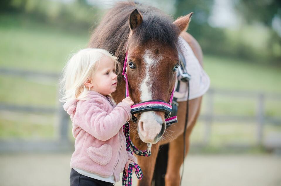 Reitstall Mandl - Impression #1 | © Elisabeth Mandl