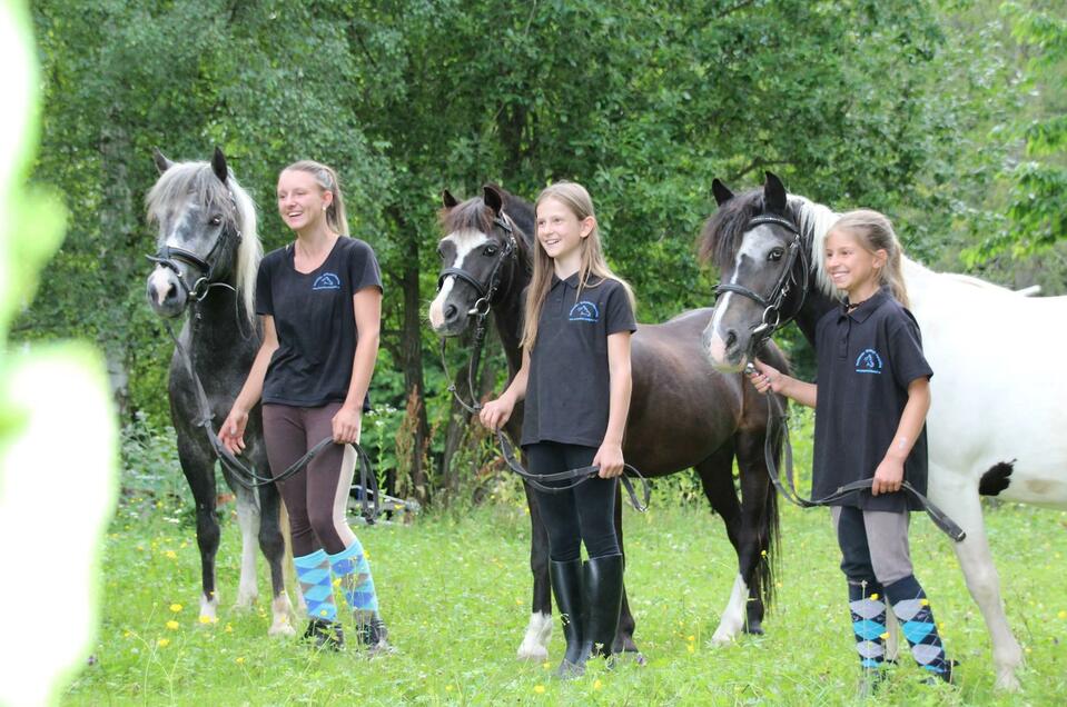 Reitstall Ponyreiten Birkenhof - Impression #1 | © Birkenhof