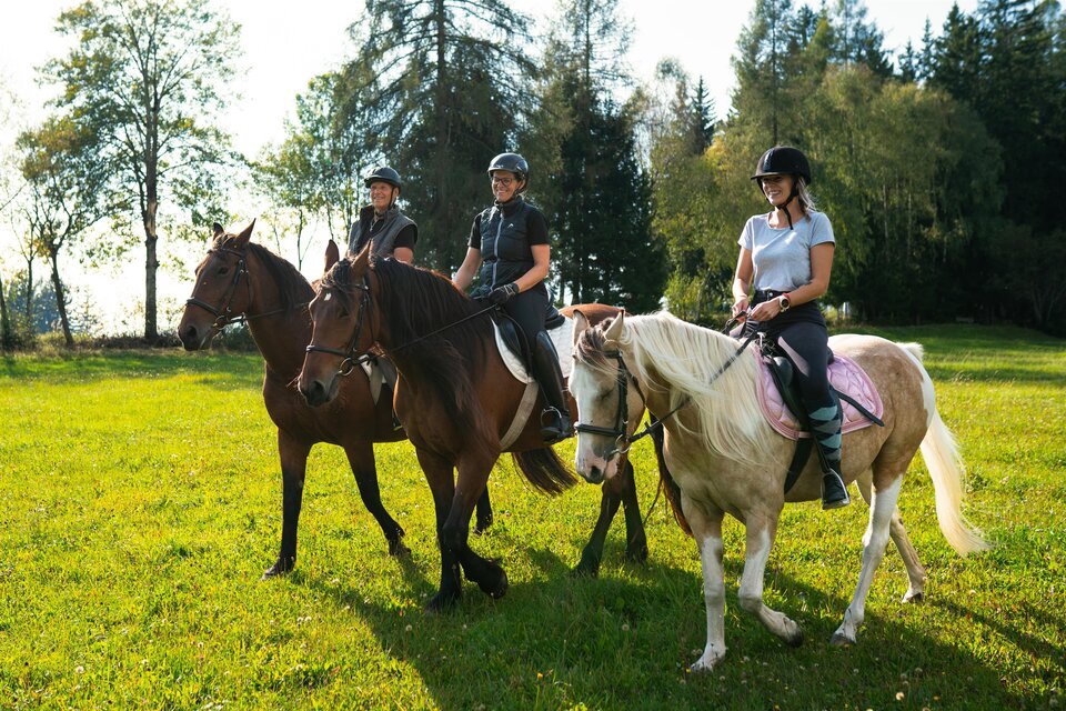 Riding stable Stockner - Impression #1 | © Oststeiermark Tourismus