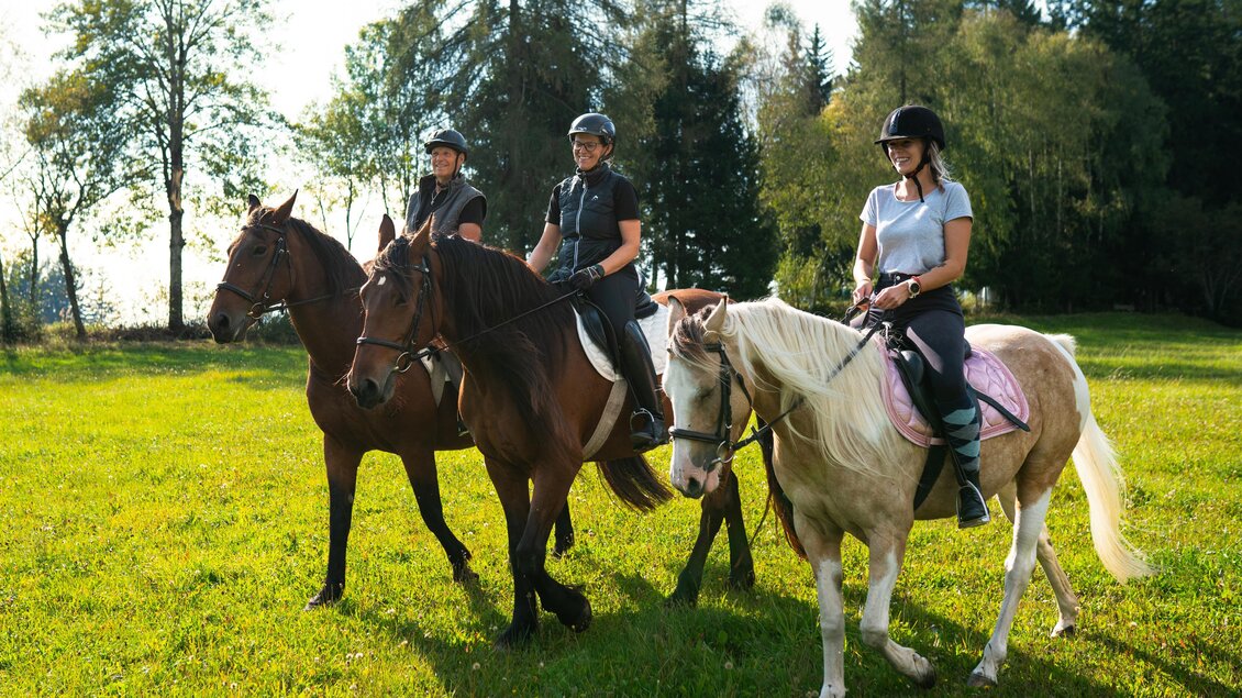 Drei Reiterinnen auf ihren Pferden stehen auf einer grünen Wiese. Im Hintergrund sind Bäume und eine sonnige Landschaft sichtbar. | © Oststeiermark Tourismus