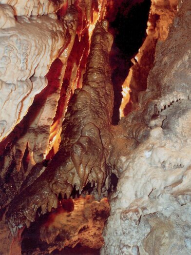 Der Auerhahn in der Rettenwandhöhle | © Fritz Bayerl | © Fritz Bayerl