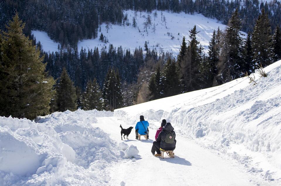 Toboggan run Lachtal - Impression #1 | © Tourismusverband Murau