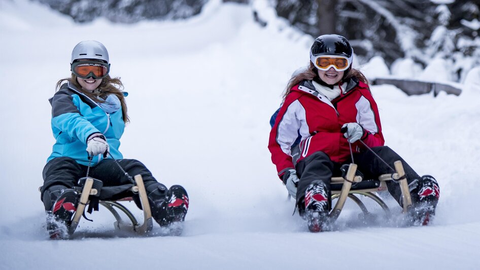 Tobogganing on the Salzstiegl - Impression #2.1