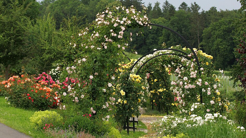 Rosengarten | © Zur Verfügung gestellt von der Marktgemeinde St. Peter/O.