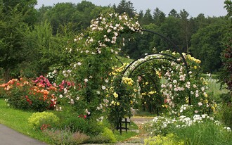 Rosengarten | © Zur Verfügung gestellt von der Marktgemeinde St. Peter/O.