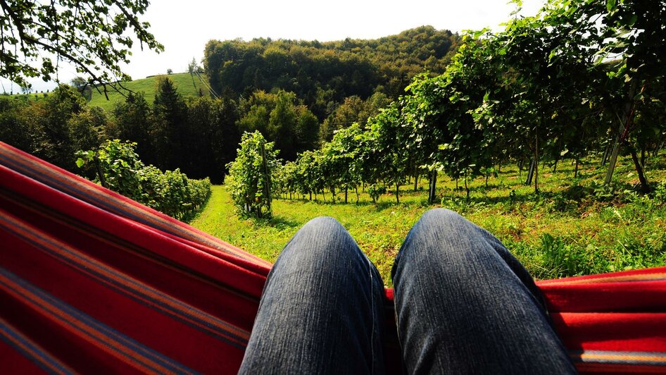 Weingut Rothschädl Hängematte mit Ausblick | © Margit & Anton Rothschädl | Weingut Rothschädl