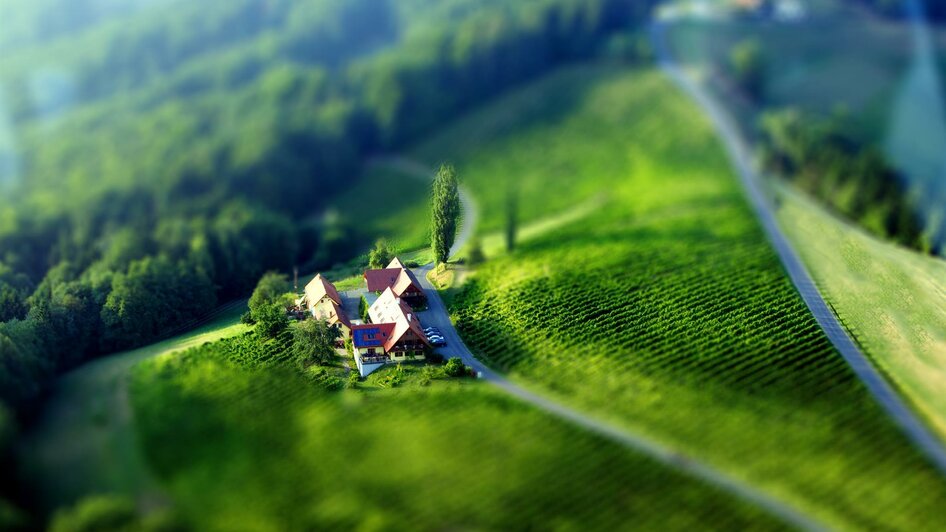 Luftaufnahme Weingut Winzerzimmer Buschenschank | © Margit & Anton Rothschädl | Weingut Rothschädl