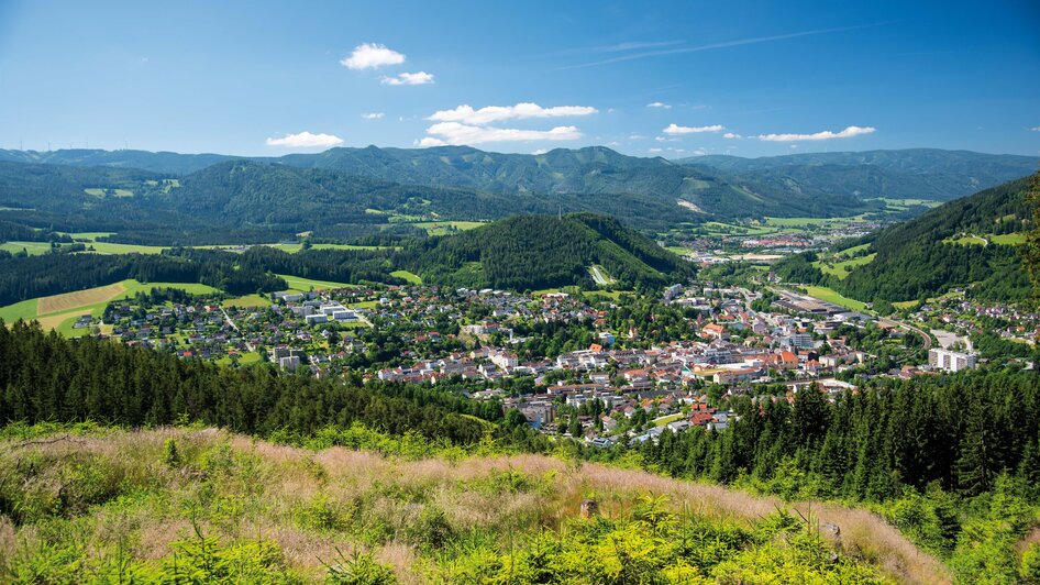 Blick auf Mürzzuschlag