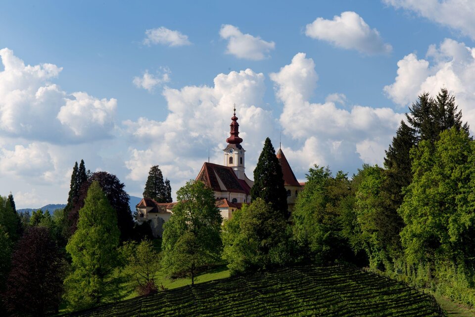 Castle Hollenegg - Impression #1 | © Federico Felini