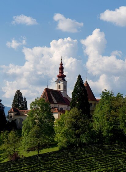 Schloss Hollenegg1 | Schloss Hollenegg | © Federico Felini