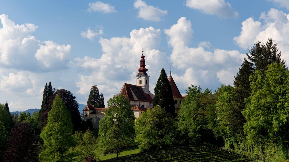 Eine malerische Kirche umgeben von grünen Bäumen und Weinbergen. Der Himmel ist klar mit einigen weißen Wolken. | © Federico Felini