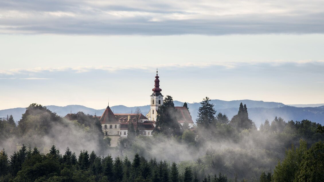 Ein Schloss auf einem Hügel, umgeben von Bäumen und Nebel. Im Hintergrund sind sanfte Berge zu sehen. | © Leonhard Hirzensauer