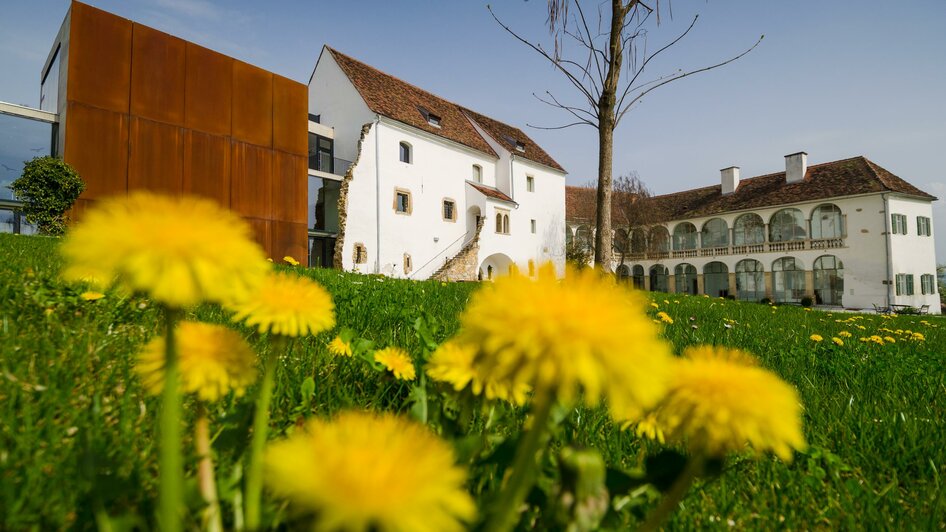 Schloss Hartberg_Oststeiermark(1) | © Bernhard Bergmann