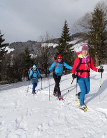 Schneeschuhwandern-Gaal-Murtal-Steiermark | © Weges | Weges | © Weges