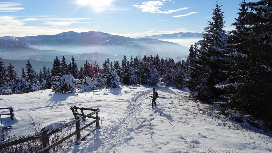 Schneeschuhwandern-Gaal1-Murtal-Steiermark | © Weges