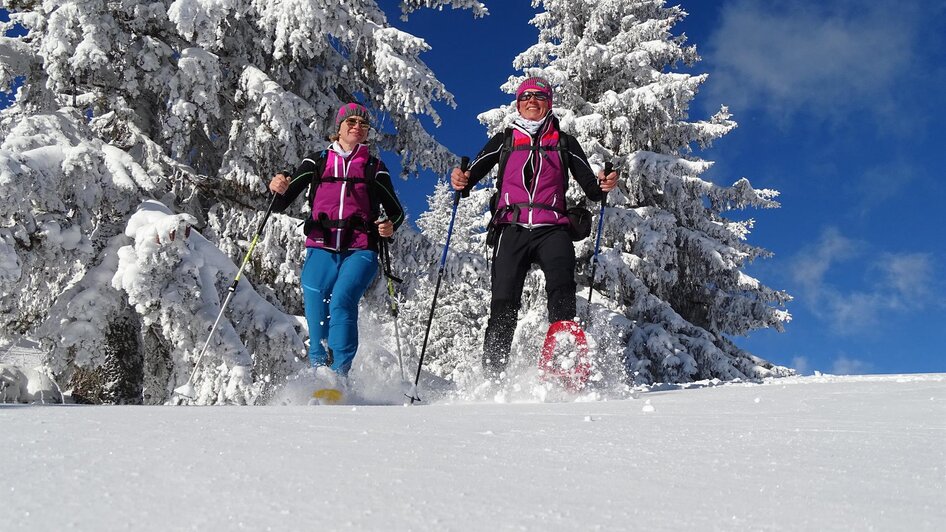 Kleinlobming-Schneeschuhwandern2-Murtal-Steiermark | © Firma Weges