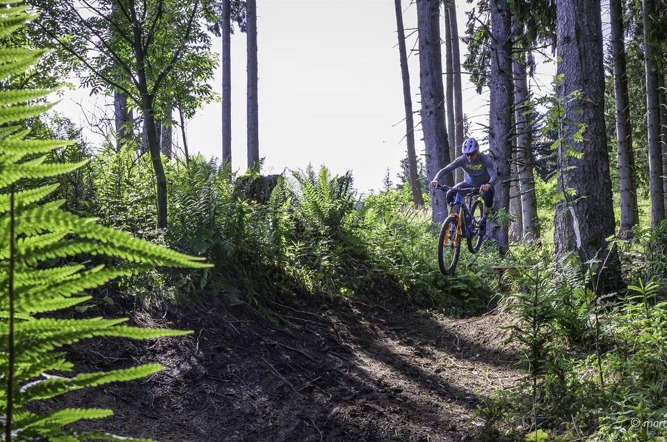 Singletrail Brandwaldsteig - Impression #1 | © Erlebnisregion Murtal