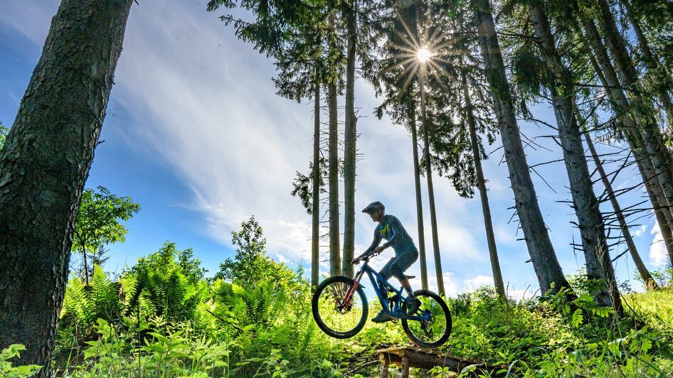 Brandwaldsteig-Singletrail2-Murtal-Steiermark | © Erlebnisregion Murtal