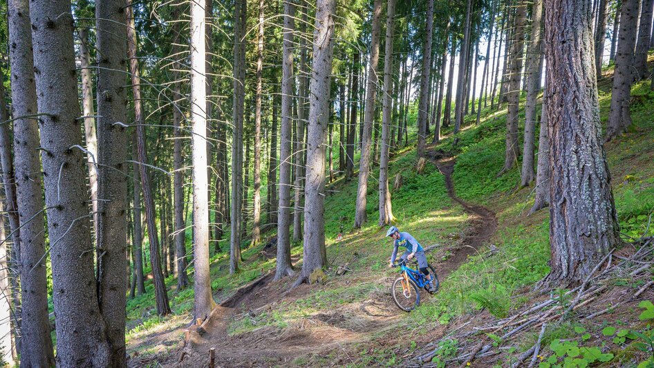 Brandwaldsteig-Singletrail3-Murtal-Steiermark | © Erlebnisregion Murtal