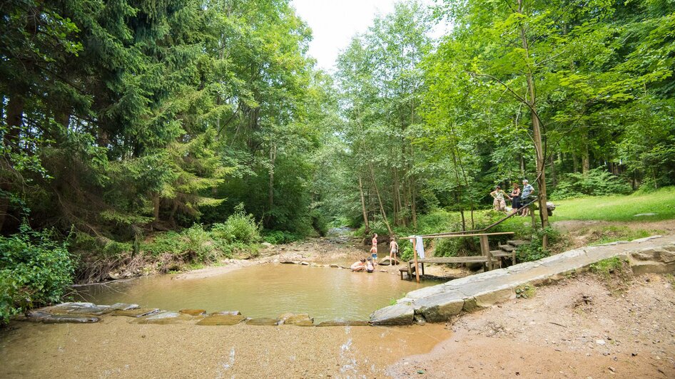 Safen Hinterbrühl_Pöllau_Oststeiermark | © Helmut Schweighofer